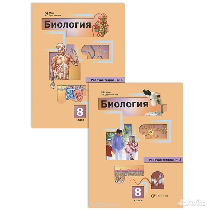 Рабочая тетрадь по биологии 8 класс человек