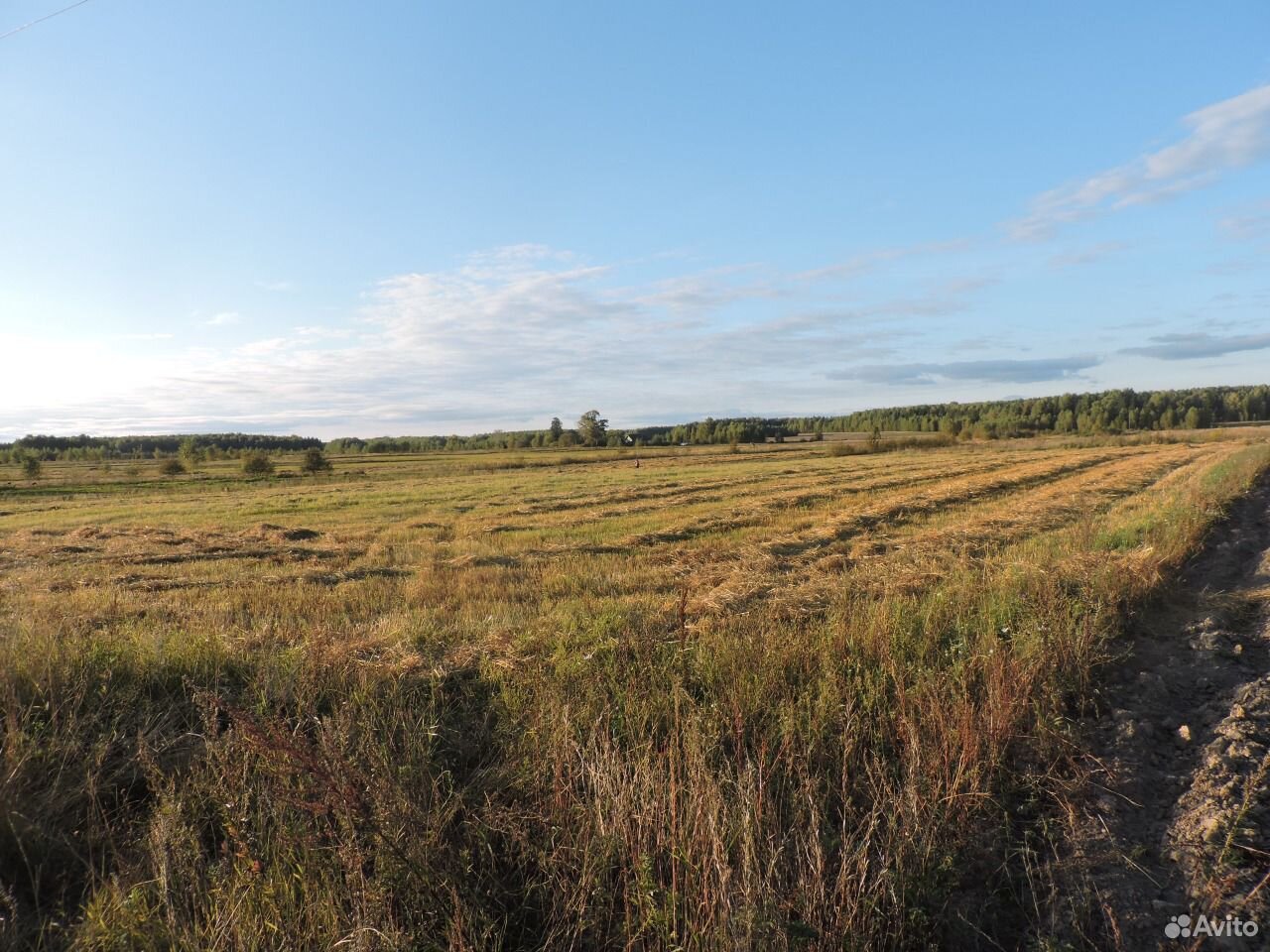 Земельные участки городецкий. Деревня Афонино Нижегородская область.