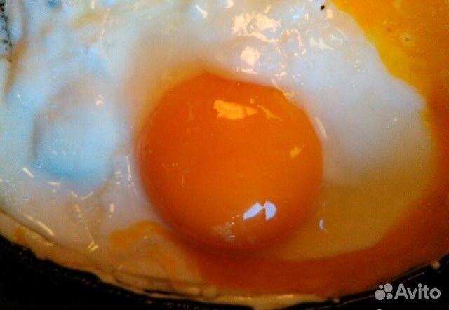 Яйцо куриное от домашних курочек. Новая Ропша купить на Зозу.ру - фотография № 1