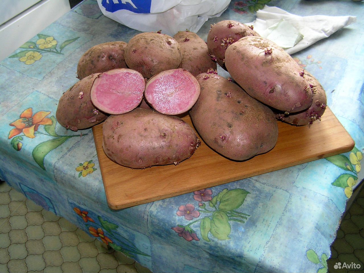 Сорт картофеля сюрприз