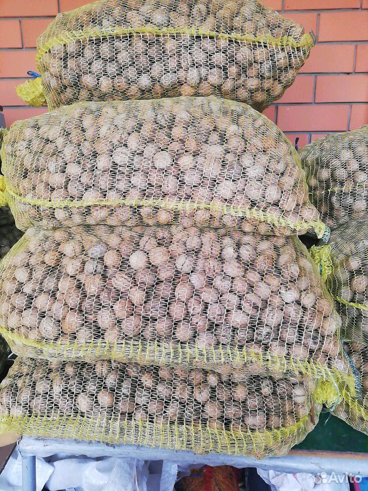Грецкие орехи свежий урожай 1 тонна купить на Зозу.ру - фотография № 1