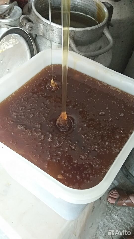 Свежий горный мёд купить на Зозу.ру - фотография № 5