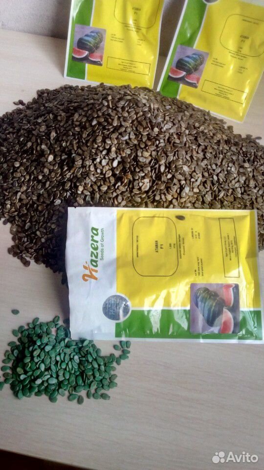 Продаются семена арбуза,каристан,барака,продюсер,а купить на Зозу.ру - фотография № 8