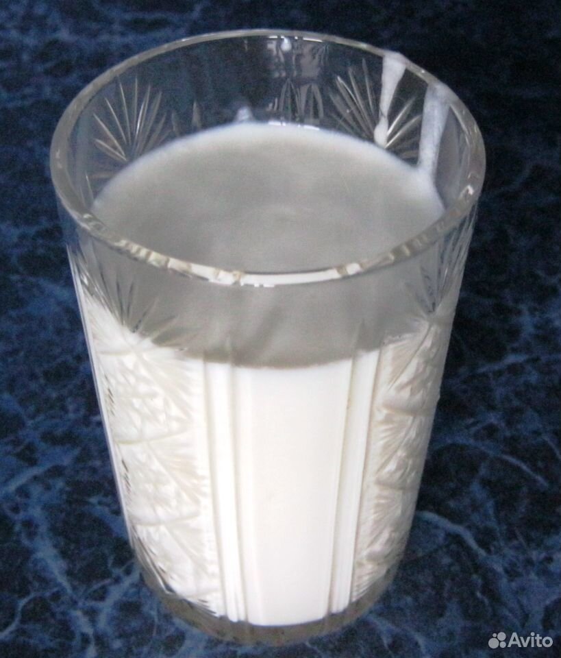 Тибетский молочный гриб (кефирный) купить на Зозу.ру - фотография № 2