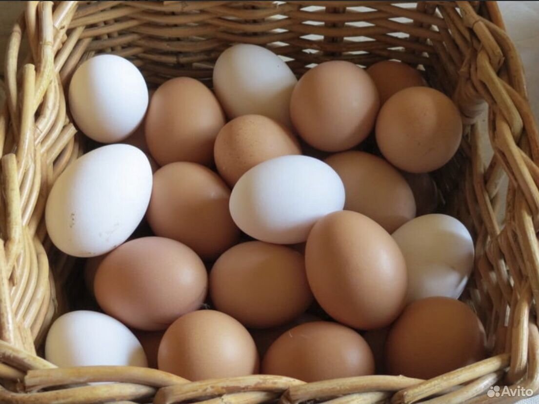 Какие должны быть домашние яйца. Домашние яйца. Домашние куриные яйца. Яйцо домашнее куриное. Яйца Деревенские.