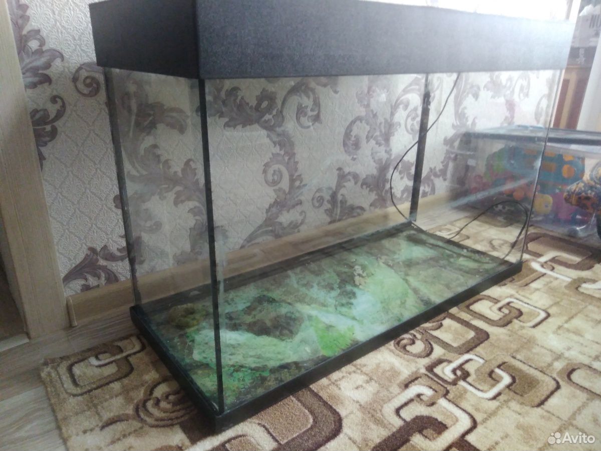 Продам аквариумы купить на Зозу.ру - фотография № 1