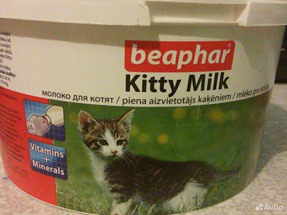 Заменитель молока для котят beaphar Kitty Milk купить на Зозу.ру - фотография № 2