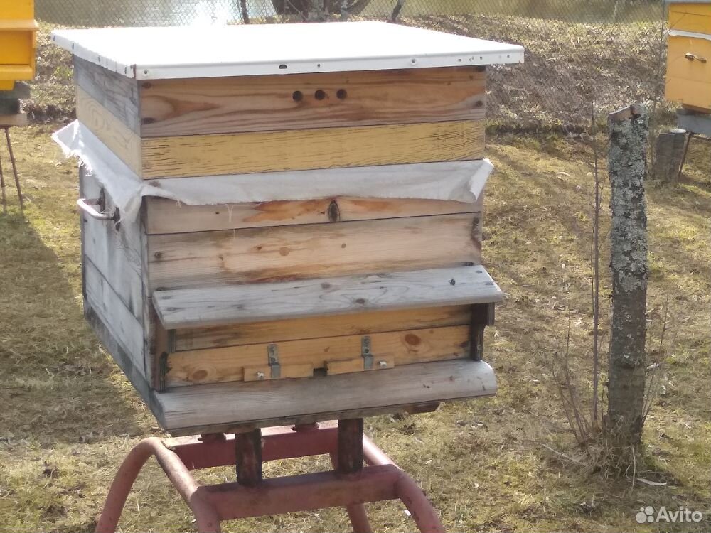 Домики, пчелы, ульи купить на Зозу.ру - фотография № 2