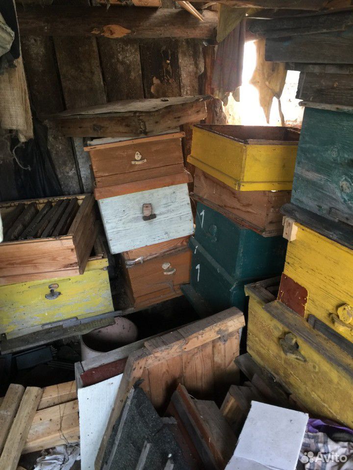 Продам ульи для пчёл, рамки купить на Зозу.ру - фотография № 4