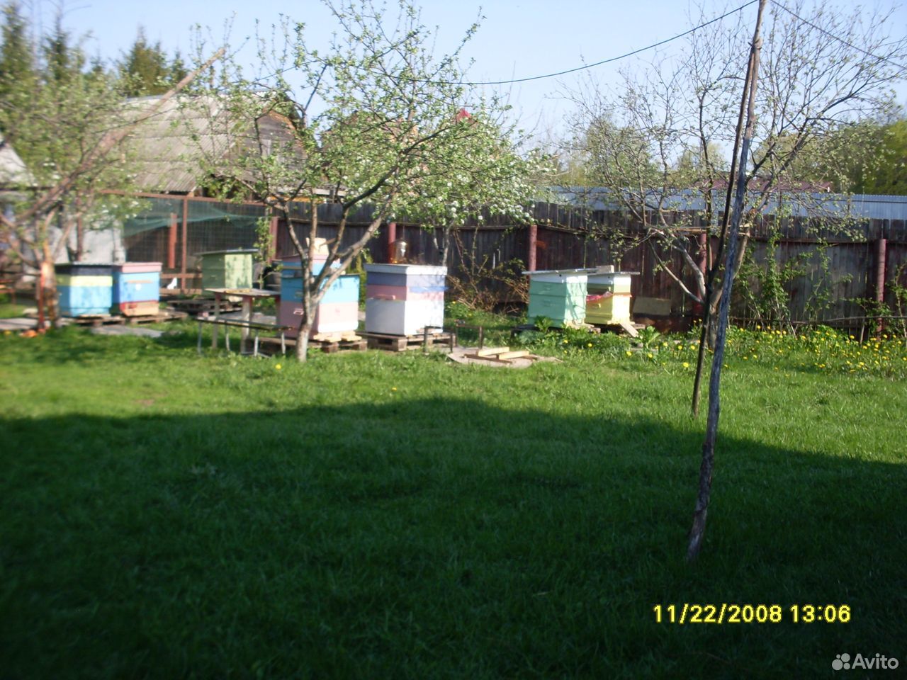 Пчёлы ульи ловушки купить на Зозу.ру - фотография № 1