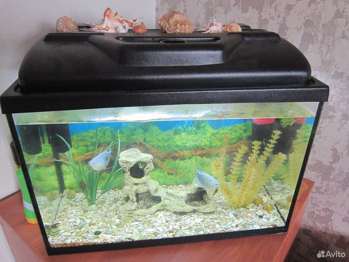 Продам аквариум на 70 л. со всем "добром" купить на Зозу.ру - фотография № 3