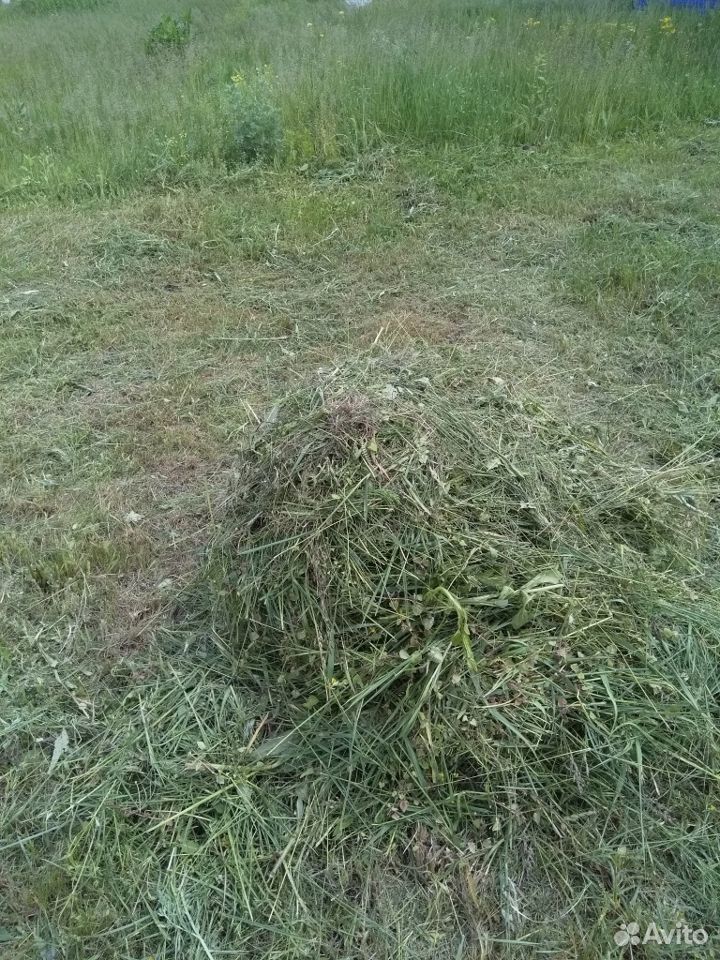 Трава скошенная купить на Зозу.ру - фотография № 2