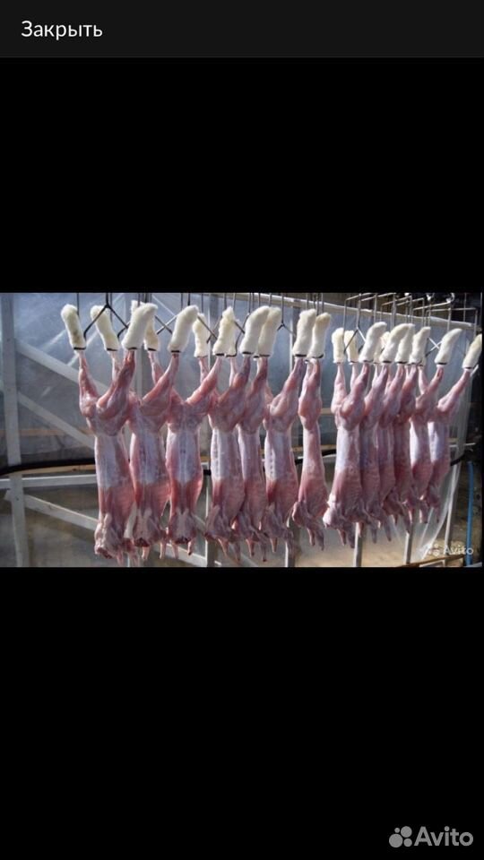 Мясо кролика в любом количестве купить на Зозу.ру - фотография № 1