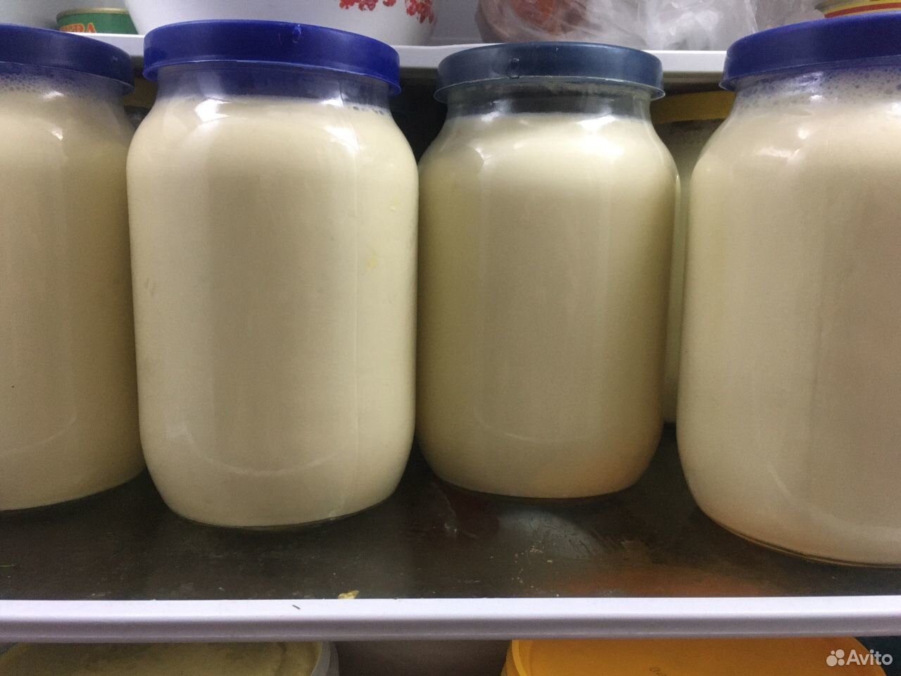 Молоко, сметана, сыр купить на Зозу.ру - фотография № 2
