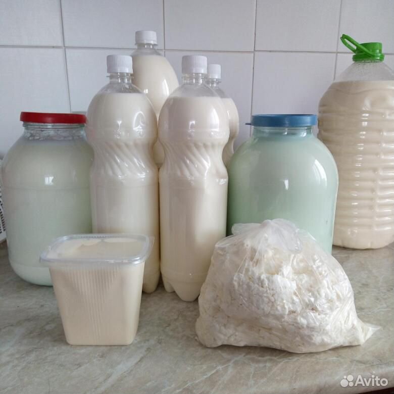 Коровье молоко,творог,сметана(домашнее) купить на Зозу.ру - фотография № 1