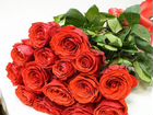 Элитная роза Эквадора объявление продам