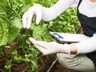 Агроном по защите растений объявление продам