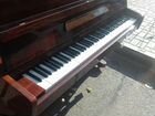 Пианино чайковский объявление продам