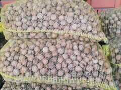 Грецкие орехи свежий урожай 1 тонна