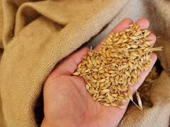 Мешок зерна и мешок отрубей кукурузных