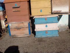 Продаю пчеловодческий инвентарь