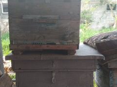 Ящики для пчел 13 штук