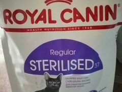 Корм Royal Canin для стерелизованых кошек