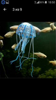 Селиконовая медуза