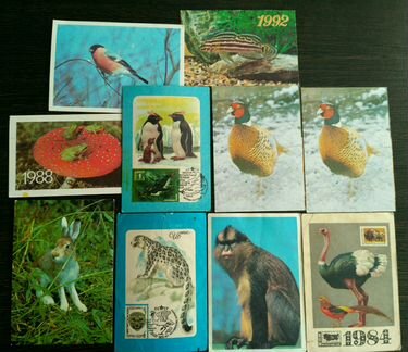 Календарики с животными 1984 -1992 г