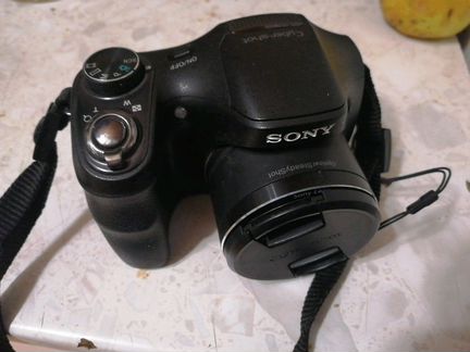 Sony DSC - H100