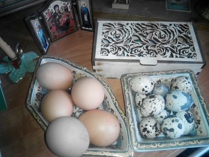 Яйцо перепелиное столовое,инкубац