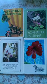 Набор открыток о комнатных растениях
