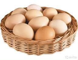 Яйца домашние от породистых кур несушек