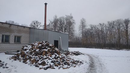 Производство дров на экспорт Беларусь