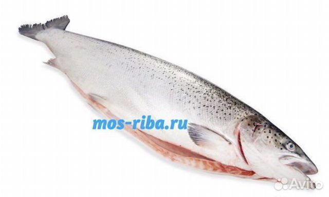 Сёмга (лосось) 4-5кг Чили Premium свежемороженая