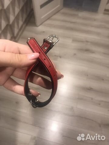 Ошейник для собак