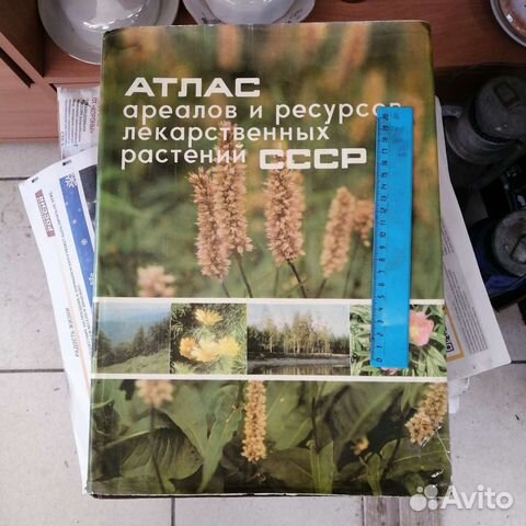 Атлас ареалов и ресурсов лекарственных растений