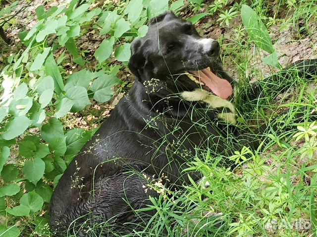 В надёжные руки