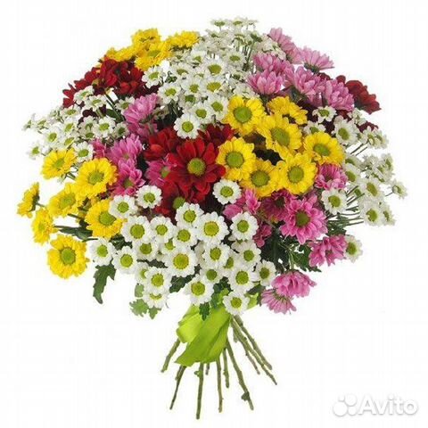 Букет из 15 хризантем Бета