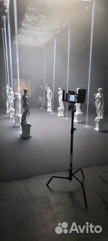 Аренда Прокат Статуй Скульптур Бюстов Голов Колонн