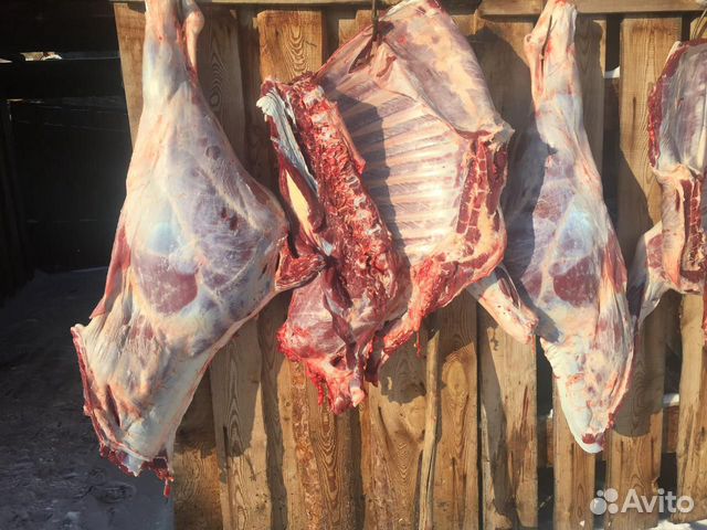 Мясо свежее говядина