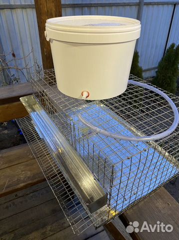 Клетки для перепелов