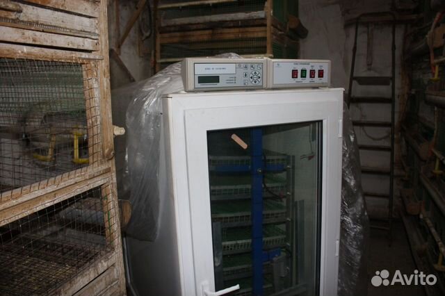 Инкубатор для яиц автоматический