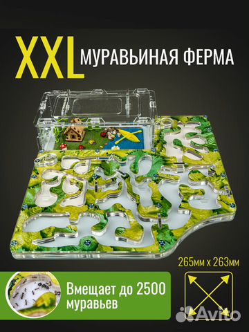 Муравьиная Ферма Макси - Зелёная Формикарий