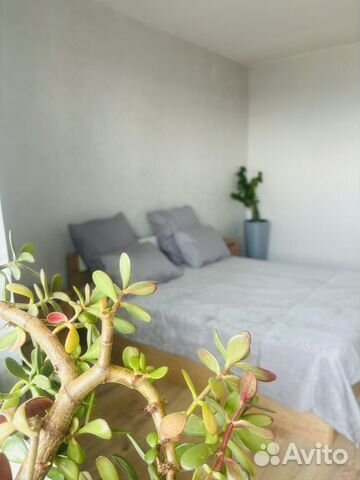 

1-к. квартира, 44 м², 1 кровать
