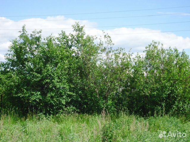Участок 6 сот. (СНТ, ДНП)