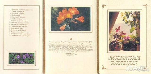Комнатные растения. 3 разных комплекта СССР