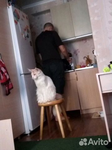 Добряжка