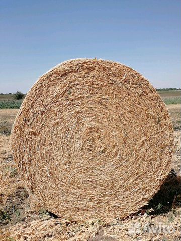 Гороховая, ячменная, пшенична солома, сено суданка купить на Зозу.ру - фотография № 3