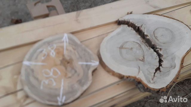 Спилы, срезы, слэбы карагача, тополя, дуба Спилы, срезы, слэбы карагача, тополя, дуба